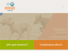 Tablet Screenshot of esterilizatumascota.com